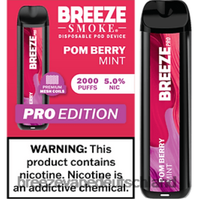 Pom-Beeren-Minze