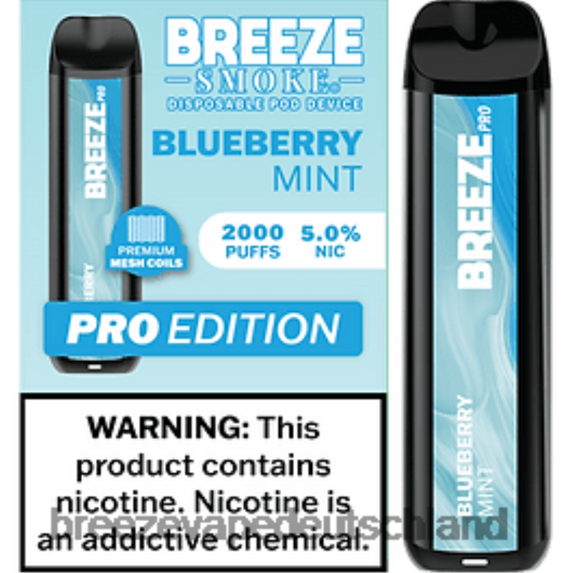 Blaubeerminze