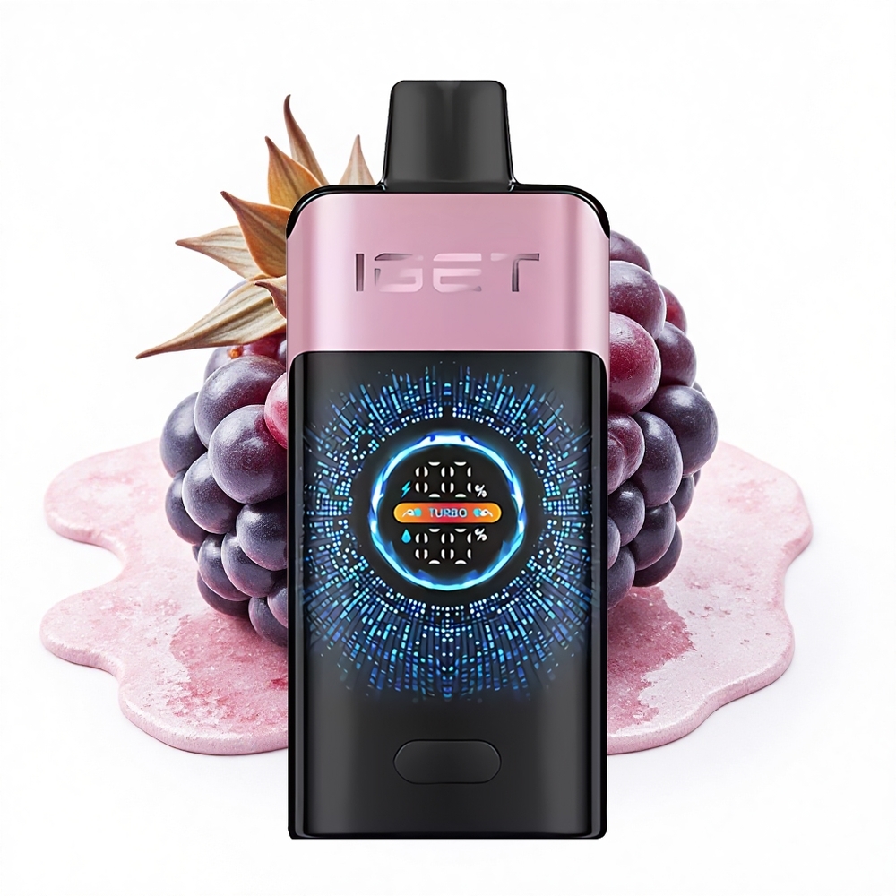 IGET ONE 12000 Puffs Brombeere-Eis Dual-Mesh 2700mAh