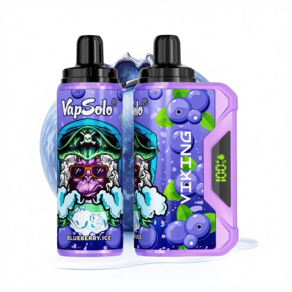 VapSolo VIKING 12000 Puffs Blaubeere Typ-C 22ml LED-Anzeige