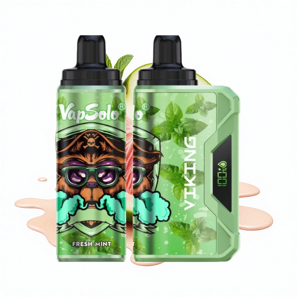 VapSolo VIKING 12000 Puffs Frische Minze Typ-C 22ml