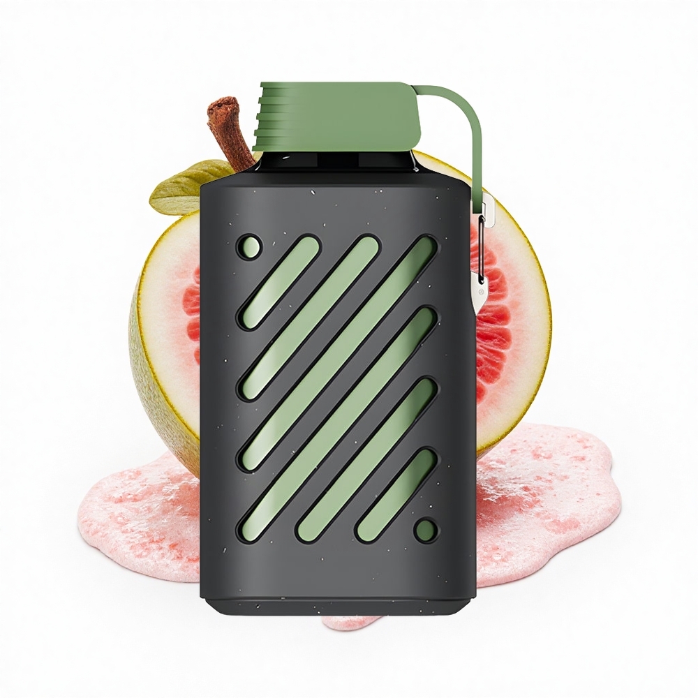 VOZOL GEAR 10000 Puffs Frische Eis Mesh Kapazität