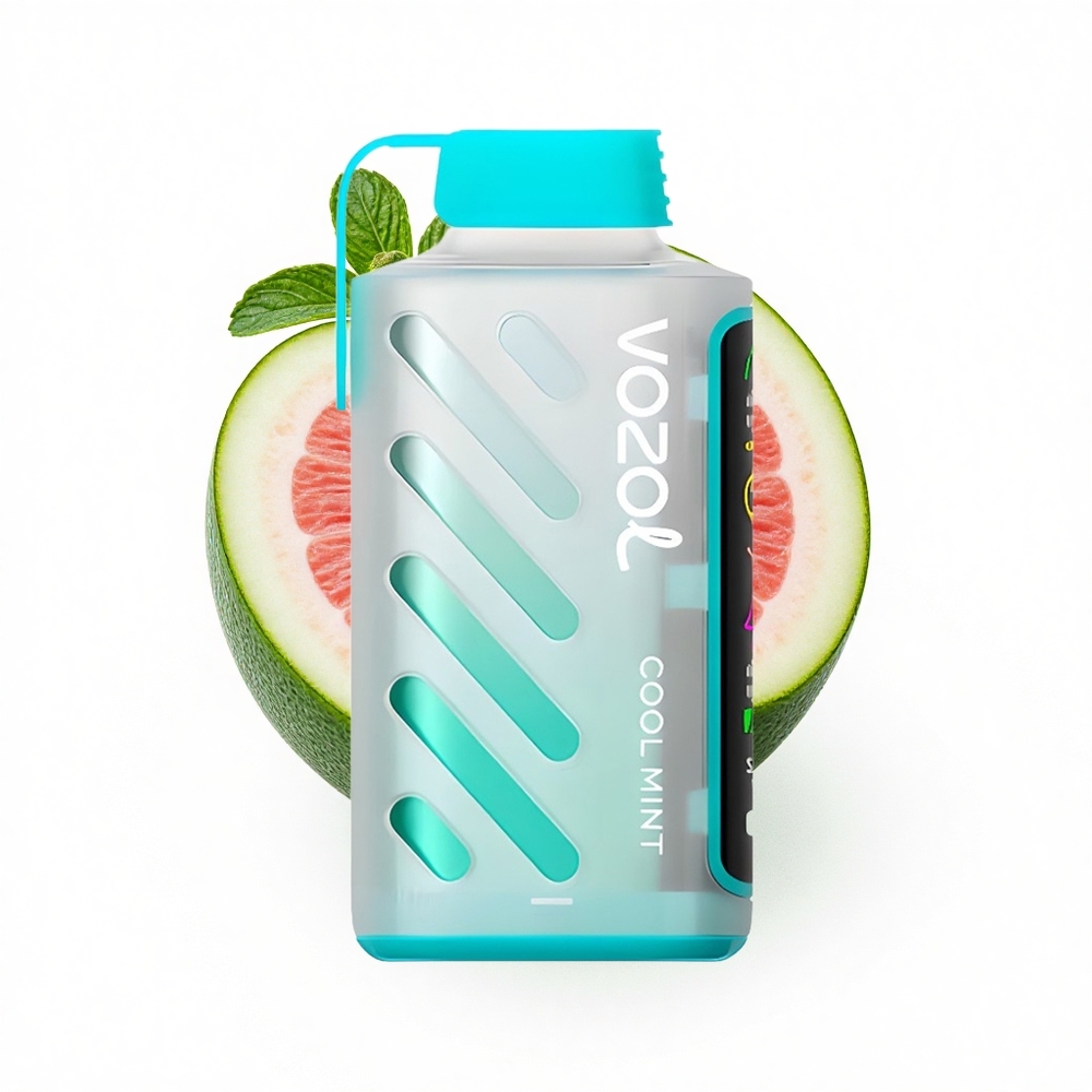 VOZOL Gear Power 20000 Puffs Kühle Minze Dual Mesh 20mL