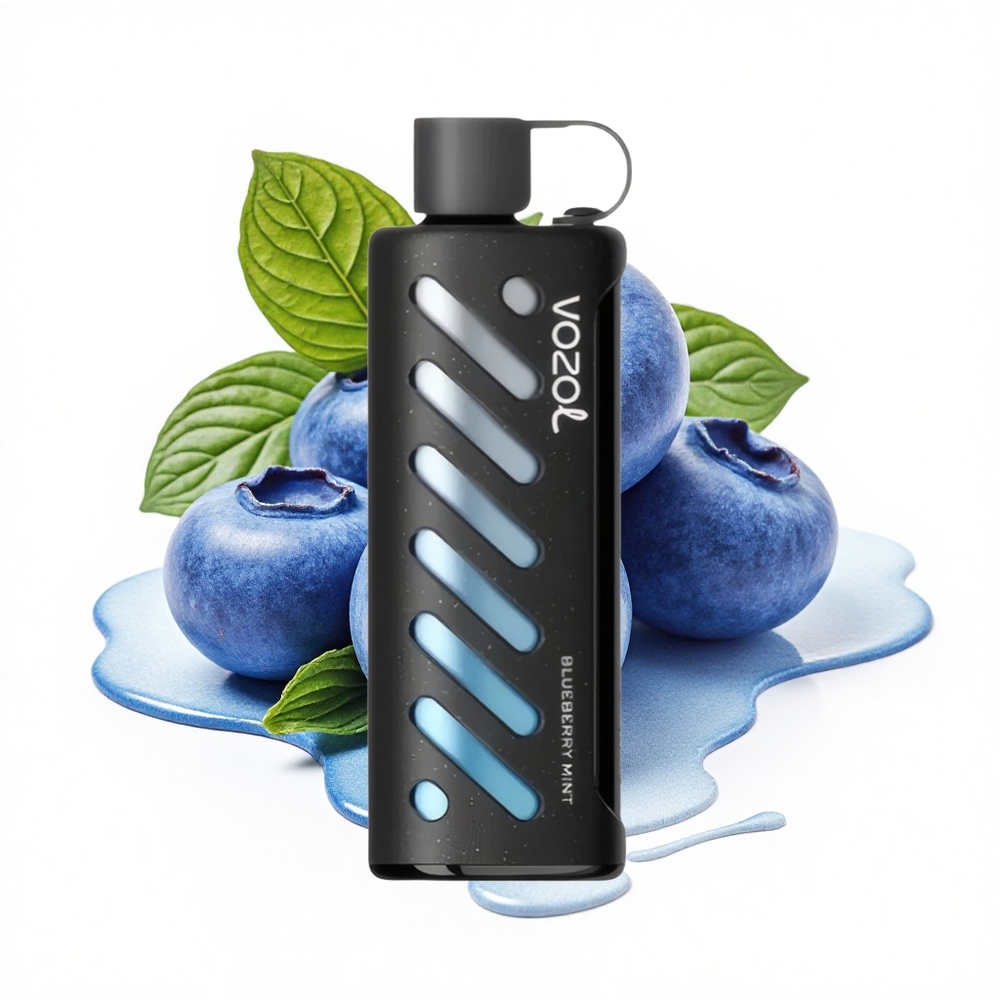 VOZOL Gear Shisha 25000 Puffs Blaubeer-Minze Dual-Mesh Tech