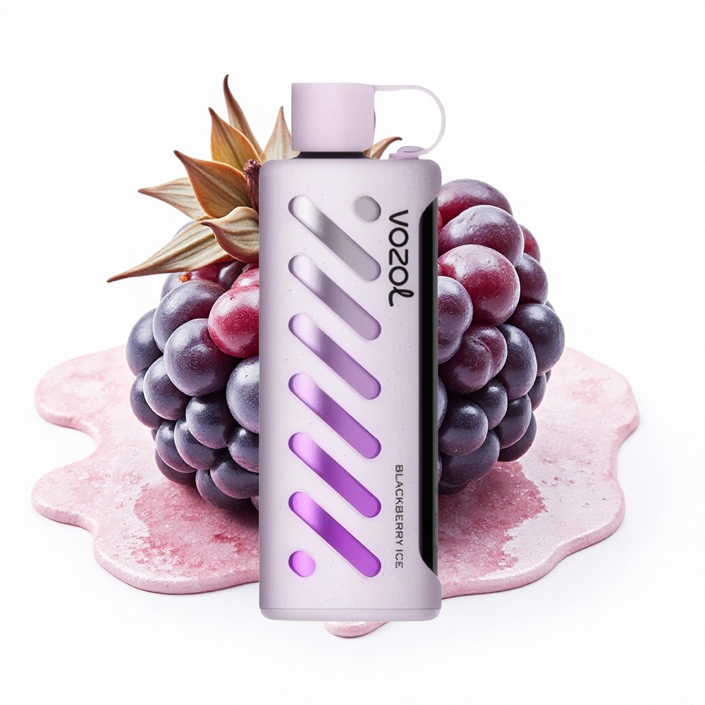 VOZOL Gear Shisha 25000 Puffs Brombeer-Eis Dual-Mesh 1000mAh