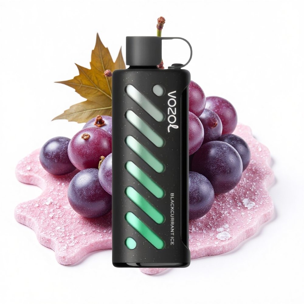 VOZOL Gear Shisha 25000 Puffs Schwarze Johannisbeere Eis Dual Mesh