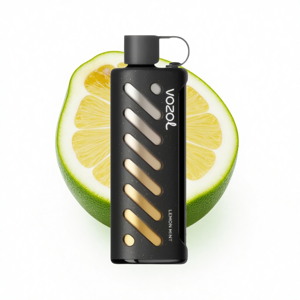 VOZOL Gear Shisha 25000 Puffs Zitronenminze Dual Mesh 5mg