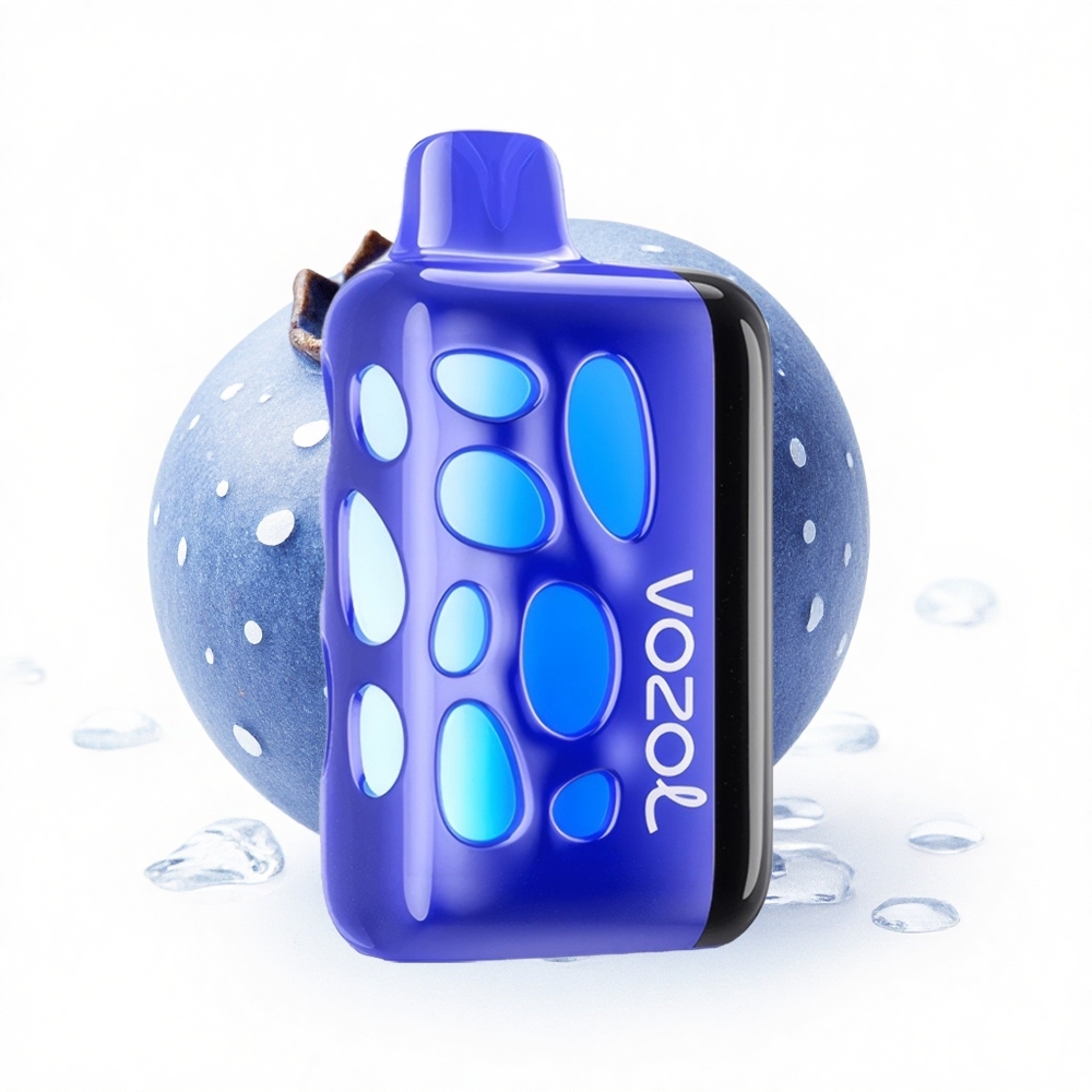 VOZOL RAVE 40000 Puffs Blaubeer-Eis Leuchtendes Design Party-Modus