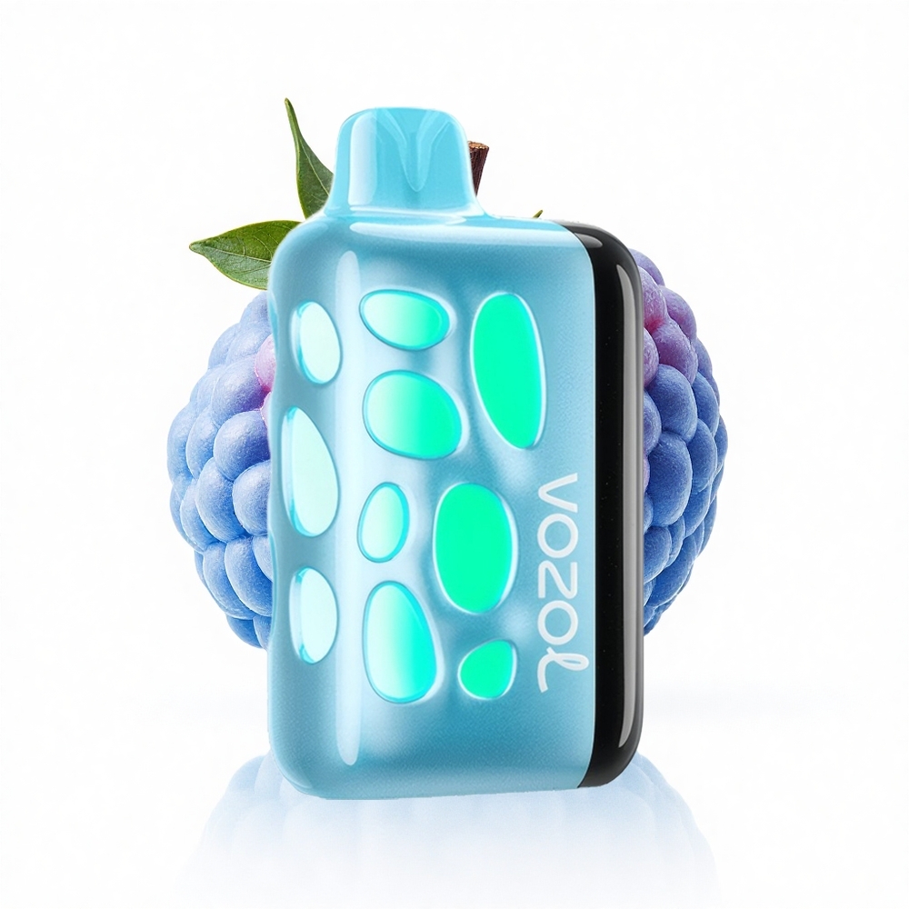 VOZOL RAVE 40000 Puffs Blauer Himbeereis Neonbeat-Ladung