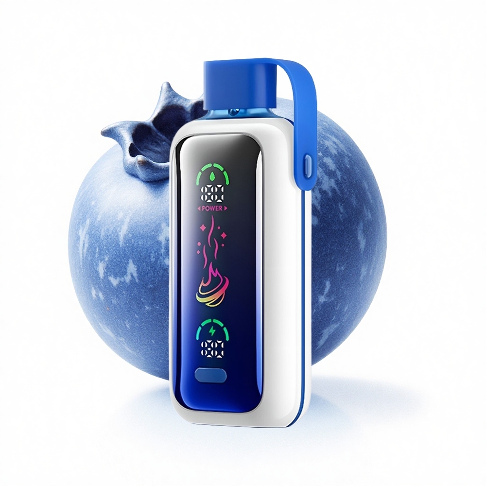 VOZOL Star 20000 Puffs Blaubeer-Sturm HD Dual Mesh 650mAh
