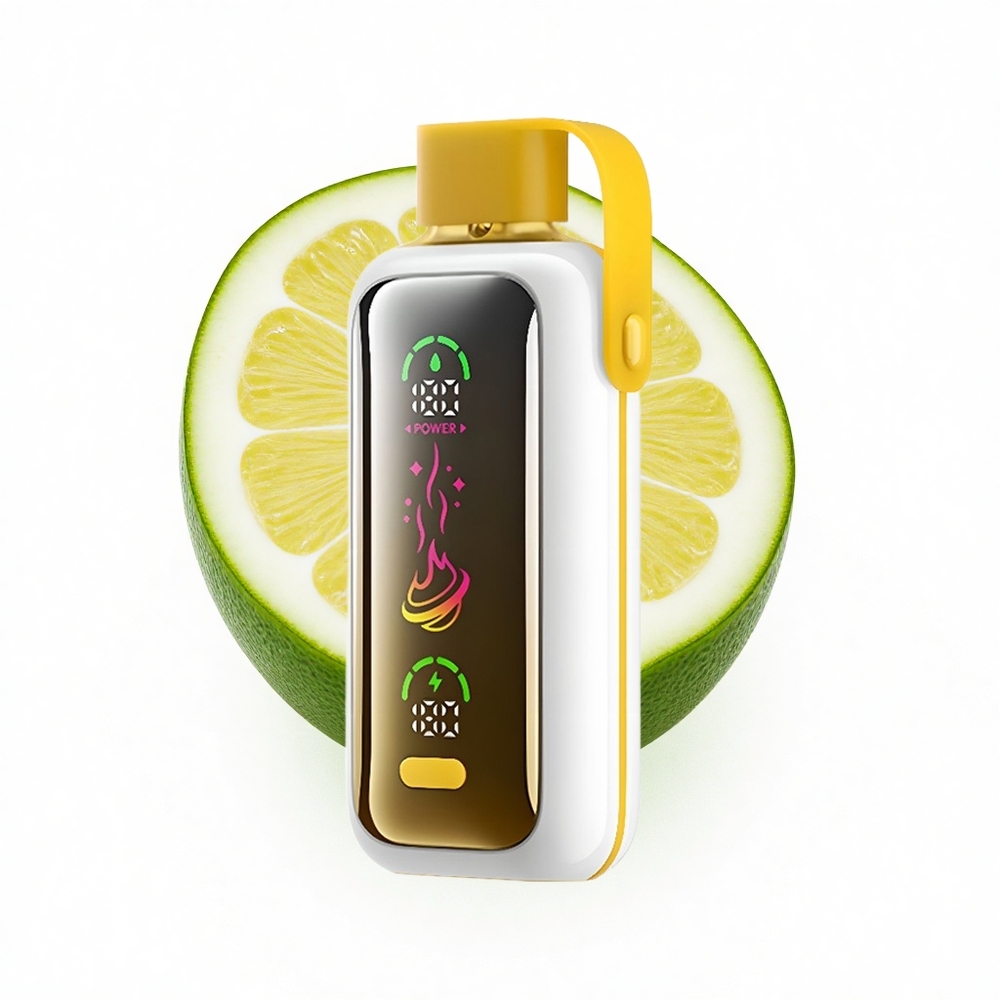 VOZOL Star 20000 Puffs Zitronenlimette Dual Mesh 650mAh