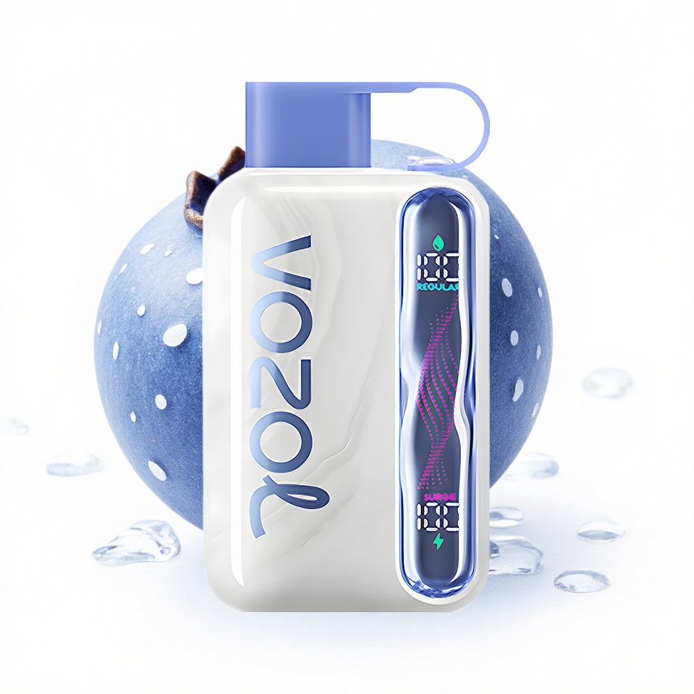 VOZOL STAR 40000 Puffs Blaubeer-Eis Typ-C 1000mAh