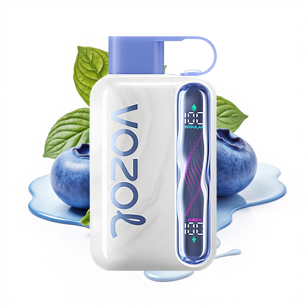 VOZOL STAR 40000 Puffs Blaubeerminze 1000mAh Typ-C
