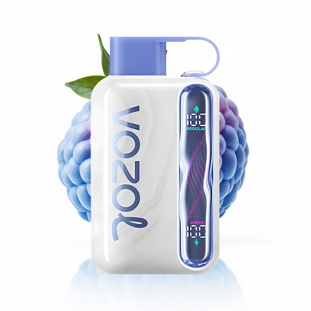VOZOL STAR 40000 Puffs Blaue Himbeere Eis Typ-C 1000mAh