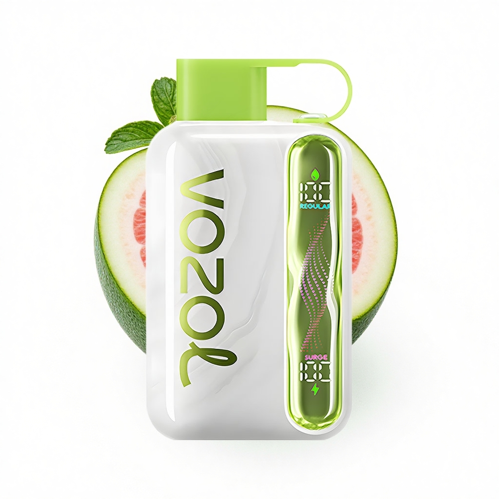 VOZOL STAR 40000 Puffs Kühle Minze 1000mAh Typ-C