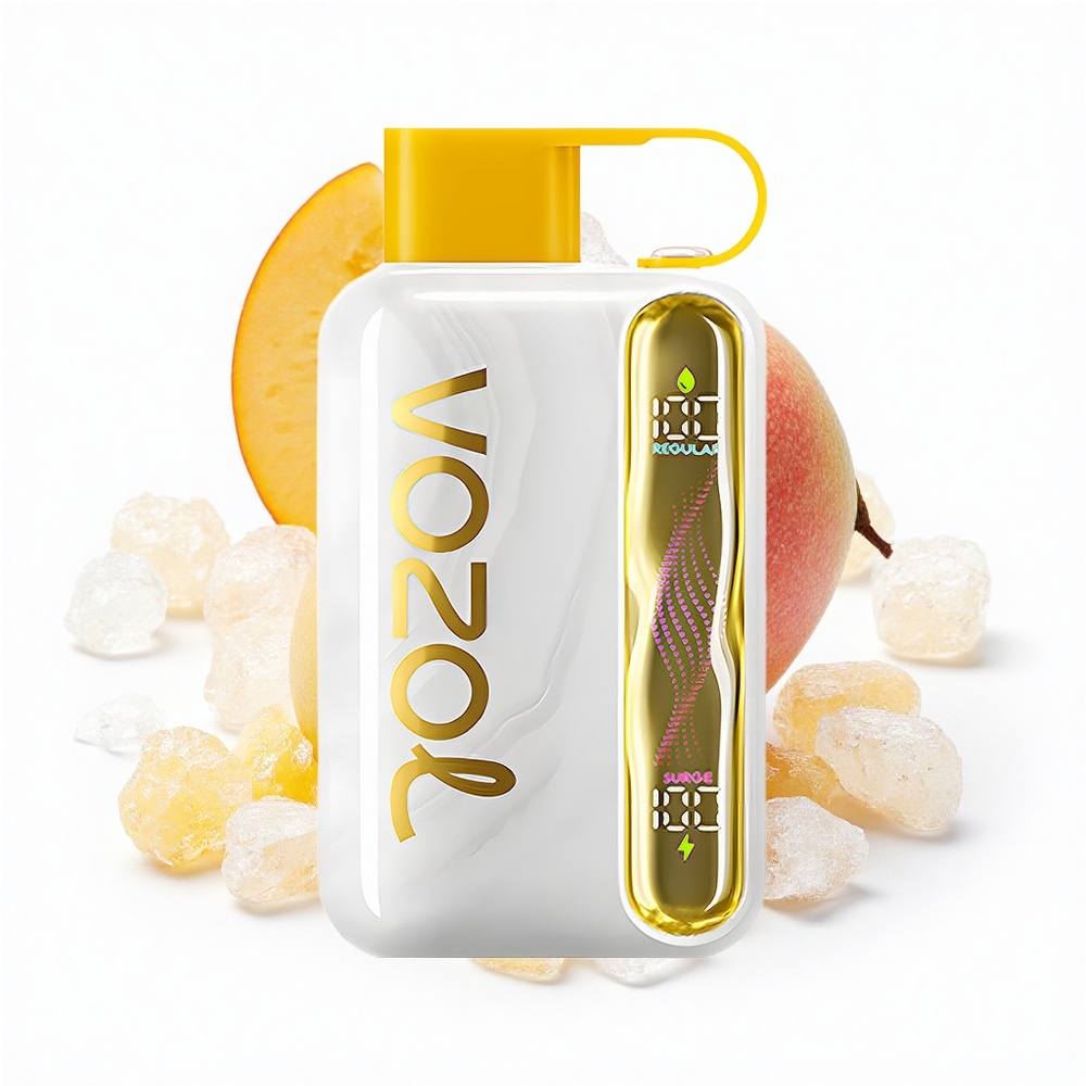 VOZOL STAR 40000 Puffs Mango Eis Typ-C 1000mAh 50mg/ml