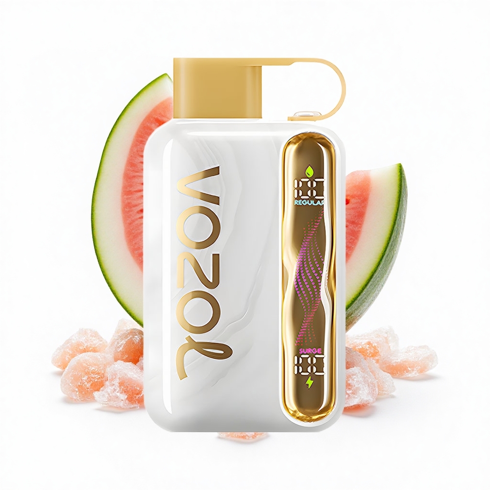 VOZOL STAR 40000 Puffs Melonen-Eis 1000mAh Type-C 50mg