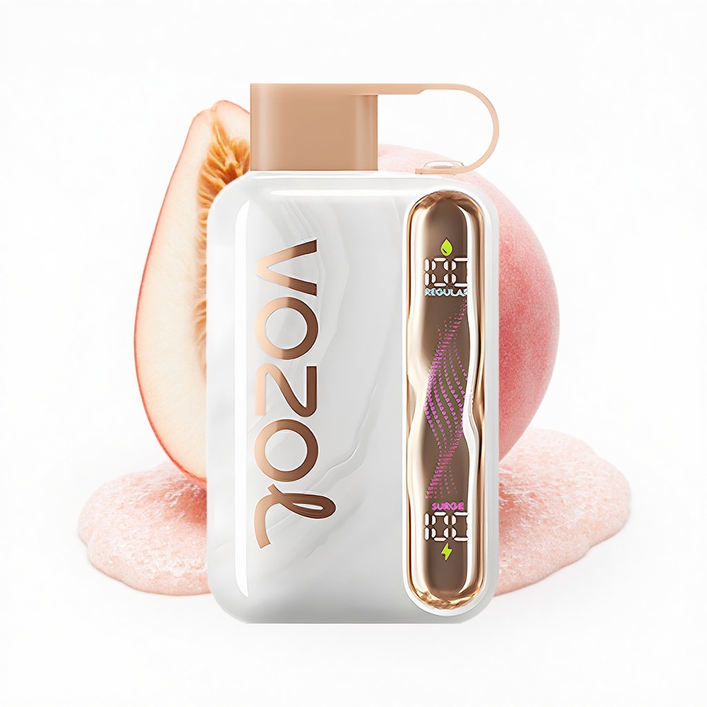 VOZOL STAR 40000 Puffs Pfirsich Eis 1000mAh Typ-C