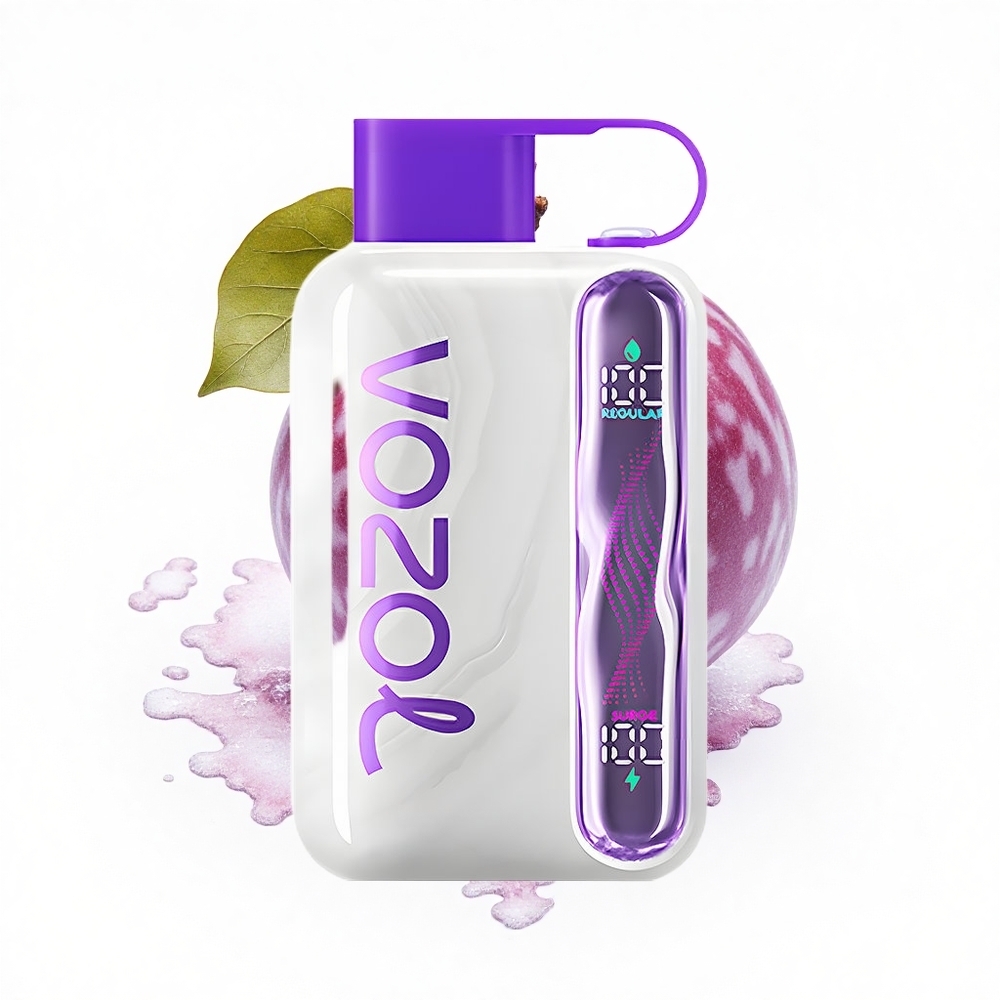 VOZOL STAR 40000 Puffs Trauben-Eis 1000mAh Type-C