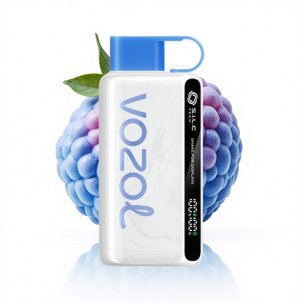 VOZOL STAR 9000/12000 Puffs Blaue Himbeer-Eis mit Schnellladung und Mundstückschutz