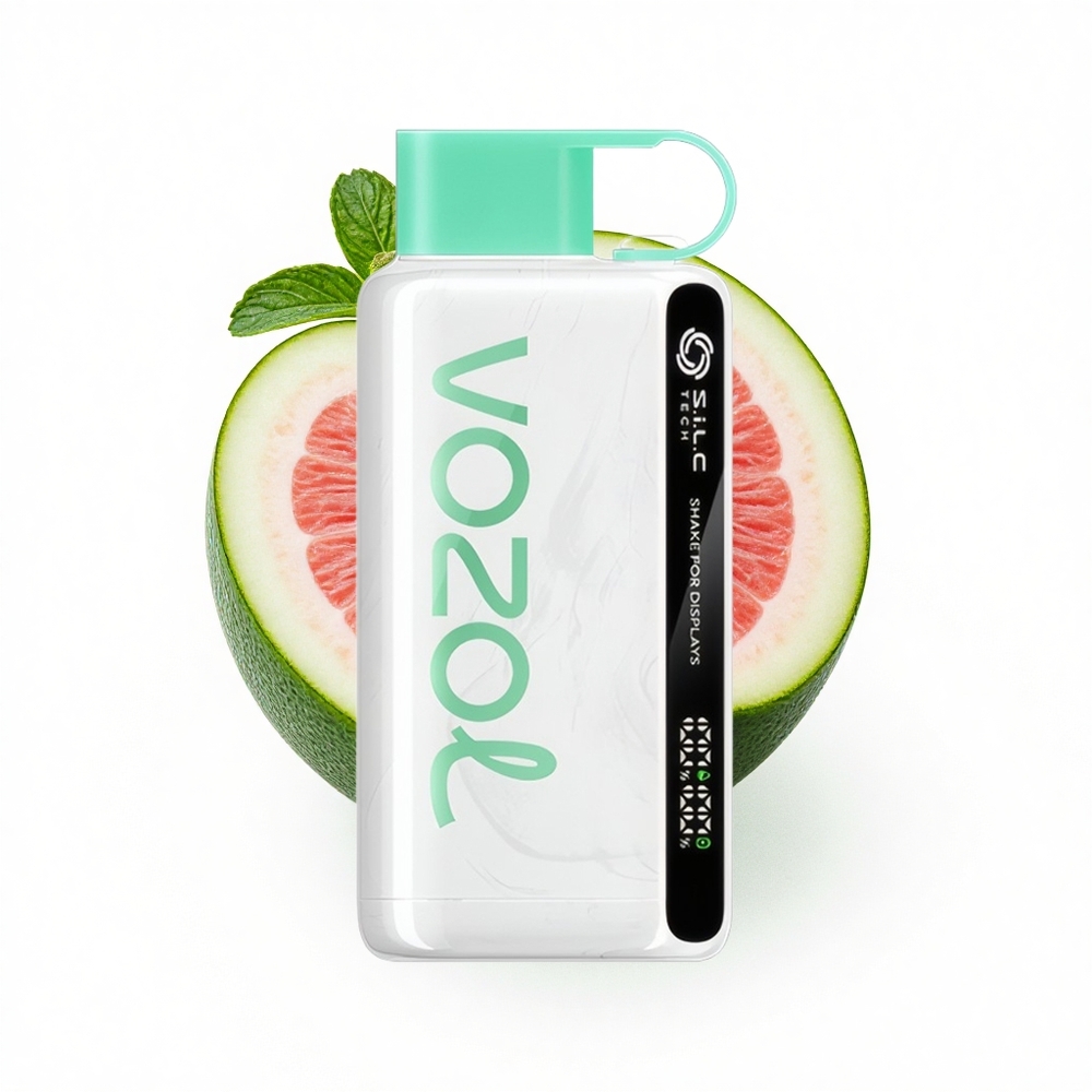 VOZOL STAR 9000/12000 Puffs Kühle Minze mit S.i.L.C TECH und Recyclingkunststoff
