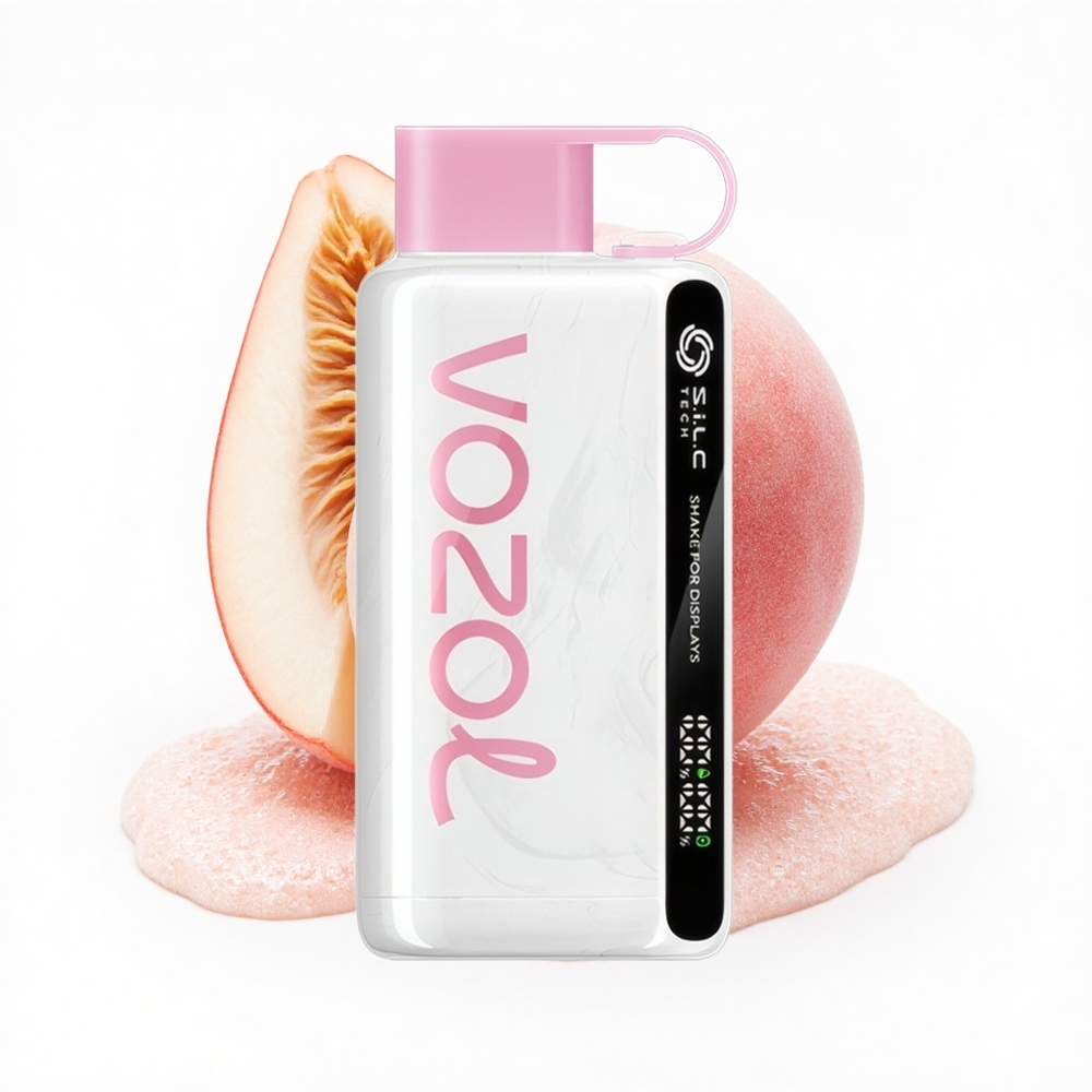VOZOL STAR 9000/12000 Puffs Pfirsich-Eis mit Schnellladung und Mundstückschutz