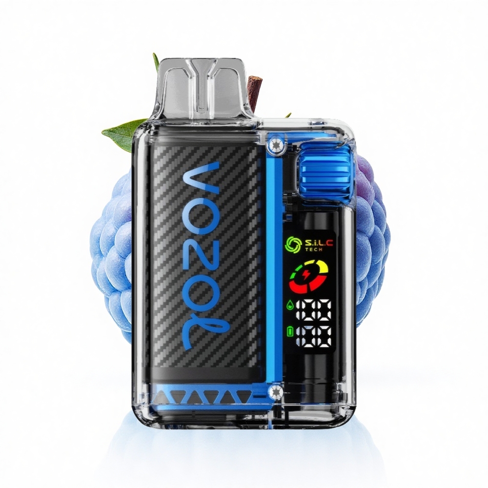 VOZOL Vista 20000 Puffs Blauer Himbeer-Eis mit OLED-Bildschirm und Dual-Mesh-Spule