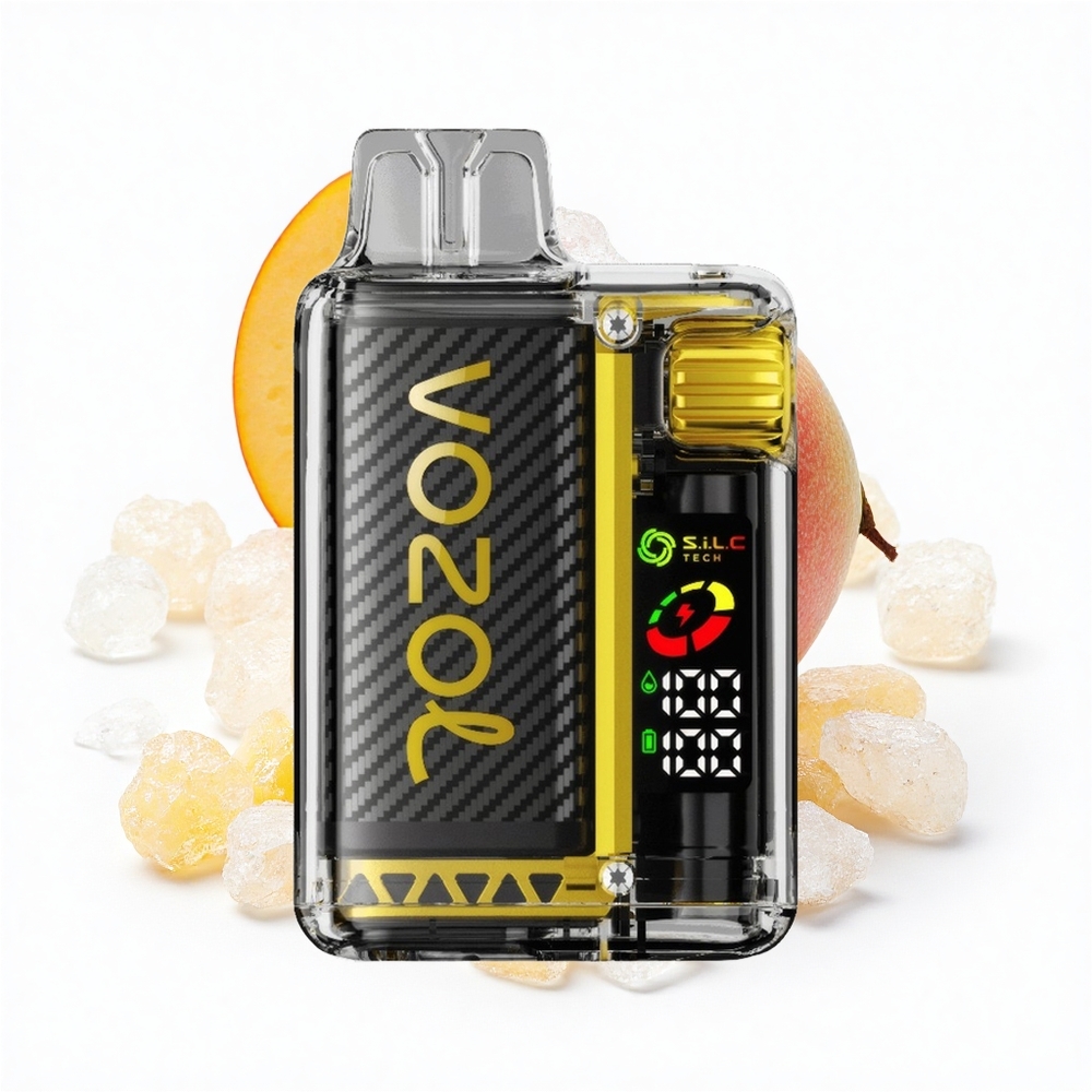 VOZOL Vista 20000 Puffs Mango-Eis OLED Dual Mesh