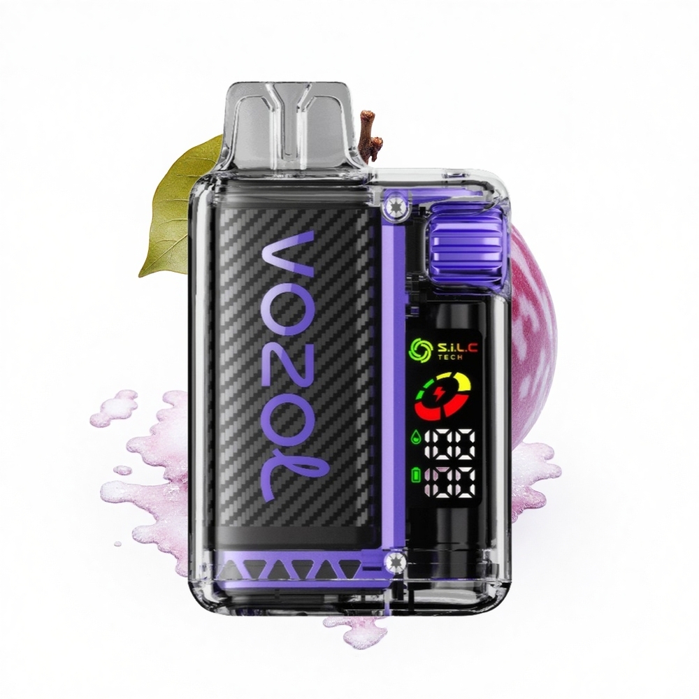 VOZOL Vista 20000 Puffs Trauben-Eis 650mAh Dual Mesh Eco