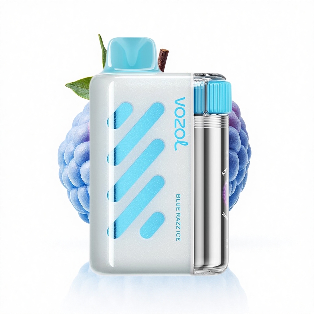 VOZOL VISTA 40000 Puffs Blauer Himbeer-Eis MTL Mesh Schnellladung